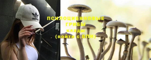марки nbome Алексин
