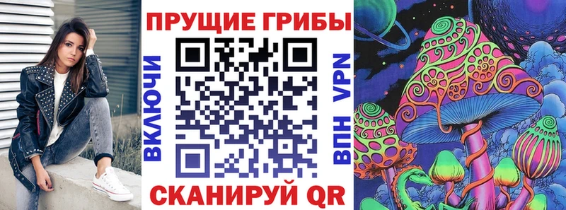 блэк спрут зеркало  купить наркотик  Ессентукская  Псилоцибиновые грибы Psilocybe 